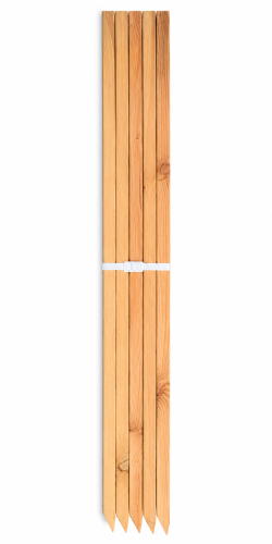 ChatGPT Image 18 cze 2026, 18_00_55.png